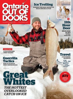 Cover Shot, 2011